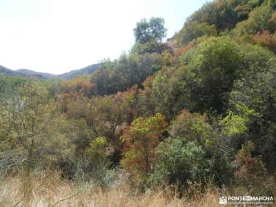 Meandros Río Lozoya - Pontón de la Oliva - Senda del Genaro GR300; valderejo rioja alta serra da est